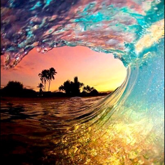 Meet your Posher, Elizabeth - Picture 3 of 6